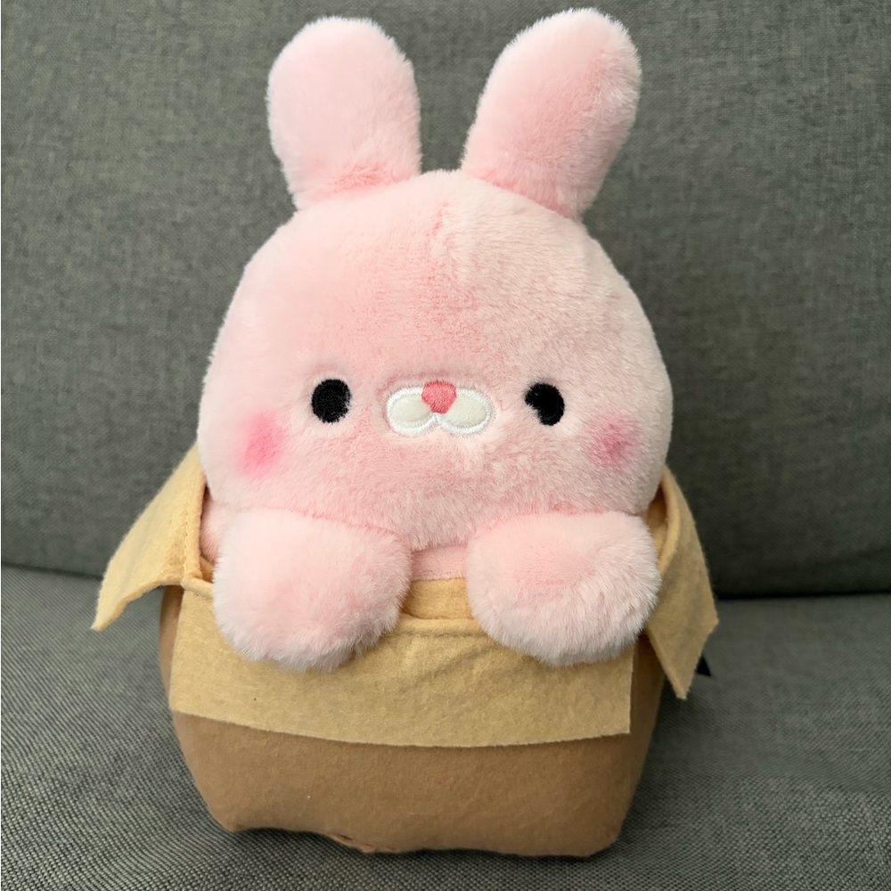 BRAND NEW 7 Inch Bunny in a Box Plushie from
Round1 NWT